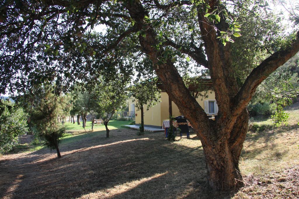 Agriturismo S'Arxola Villa Teulada Luaran gambar